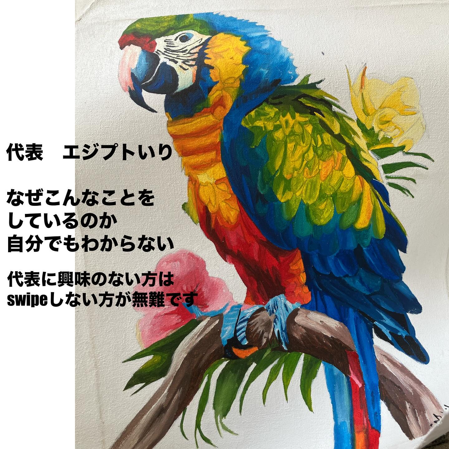 「代表やってみた!」シリーズ。page-visual 「代表やってみた!」シリーズ。ビジュアル