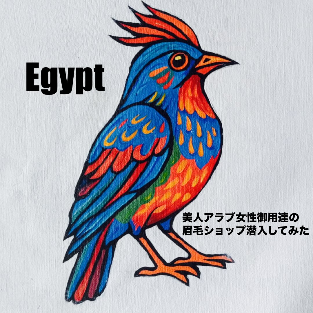 代表、Egyptの眉毛ショップに潜入してみた。page-visual 代表、Egyptの眉毛ショップに潜入してみた。ビジュアル