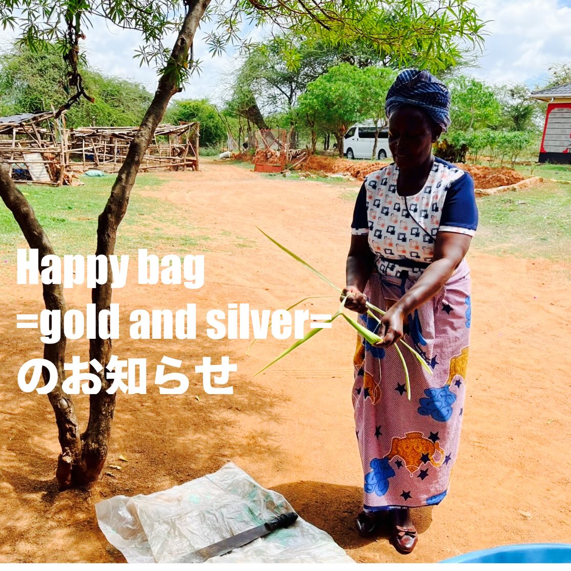 Happy bag =gold and silver= !!page-visual Happy bag =gold and silver= !!ビジュアル