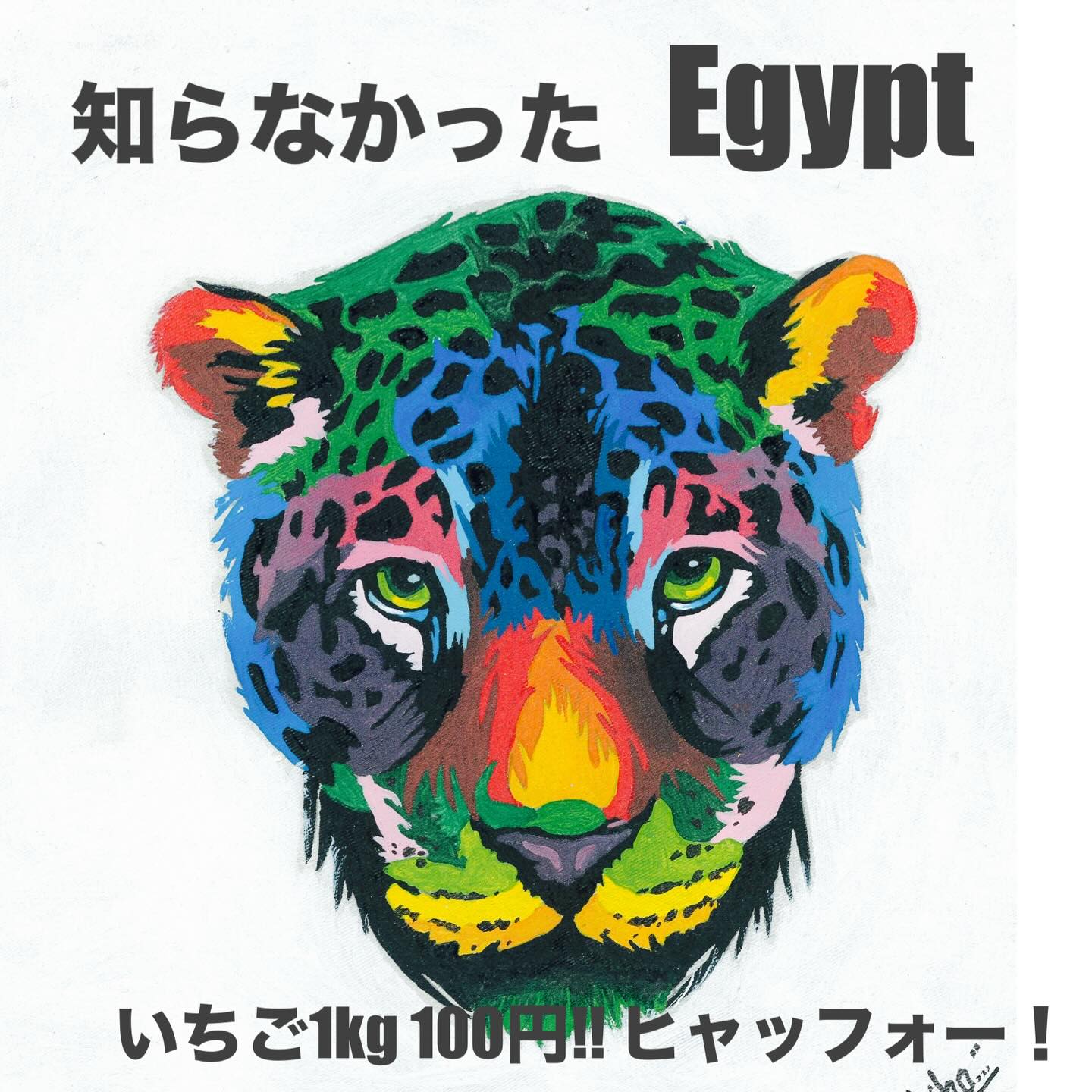 人が優しく、素敵な国、エジプト🇪🇬page-visual 人が優しく、素敵な国、エジプト🇪🇬ビジュアル