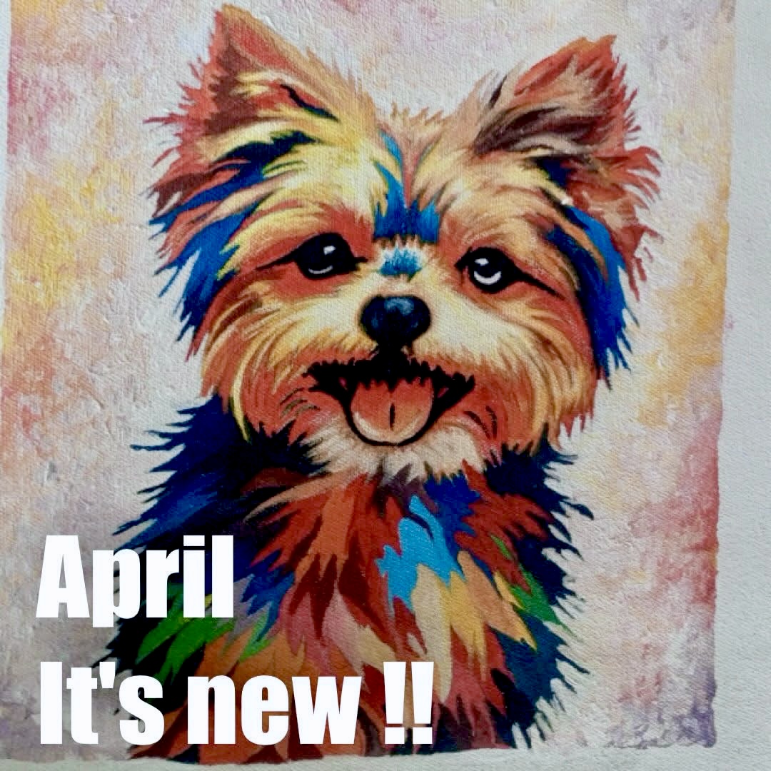 20:00〜オンラインショップに新商品登場‼︎page-visual 20:00〜オンラインショップに新商品登場‼︎ビジュアル